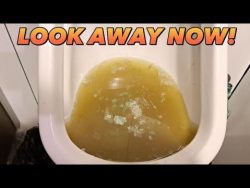 5 Easy Steps to Unclog a Urinal