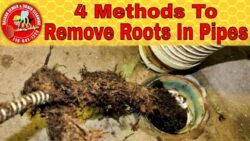 Effective Solutions for Removing Sewer Roots by Professional Plumbers