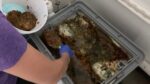 10 Easy Steps to Clean a Grease Trap